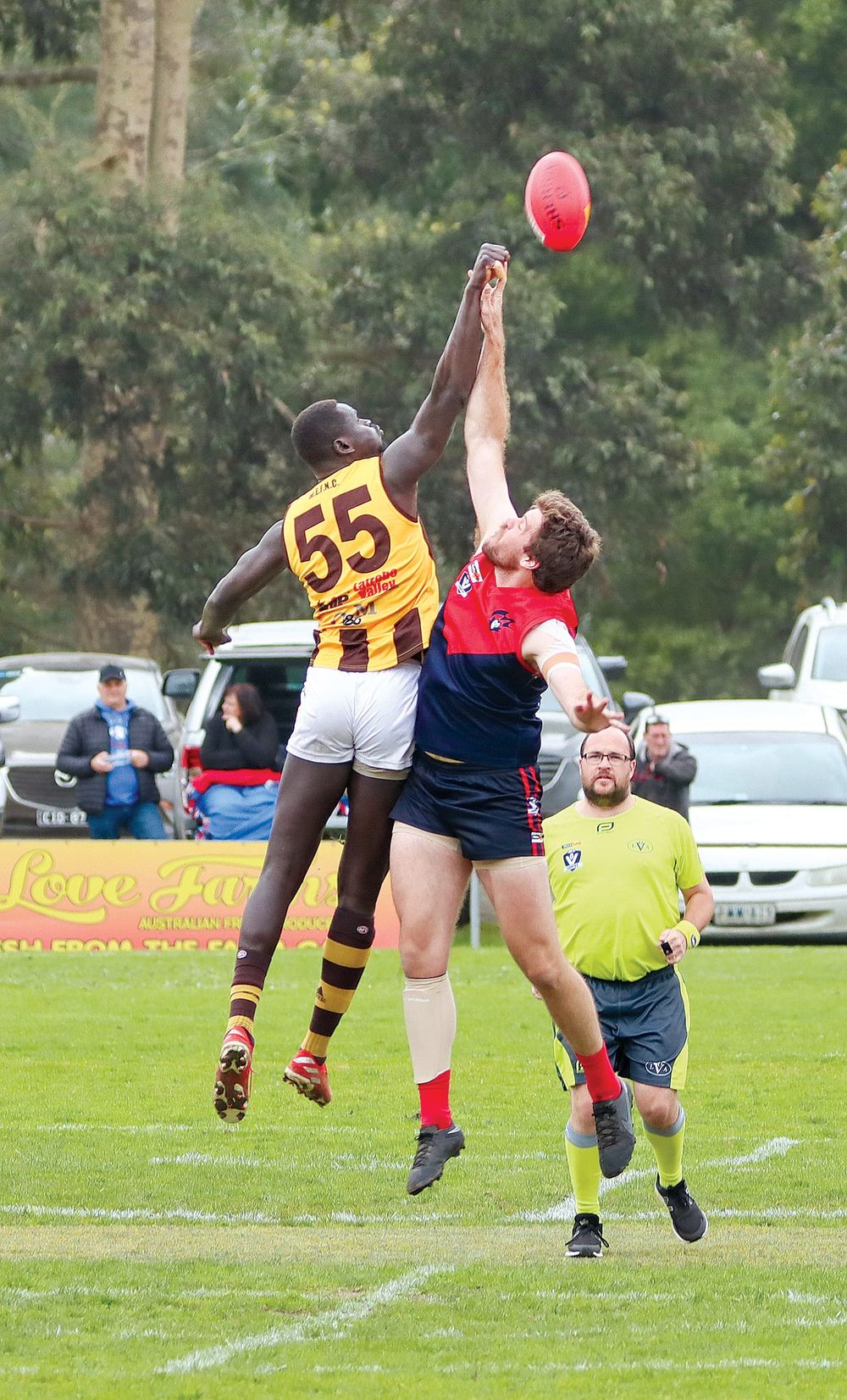 Demons live to see another day post image