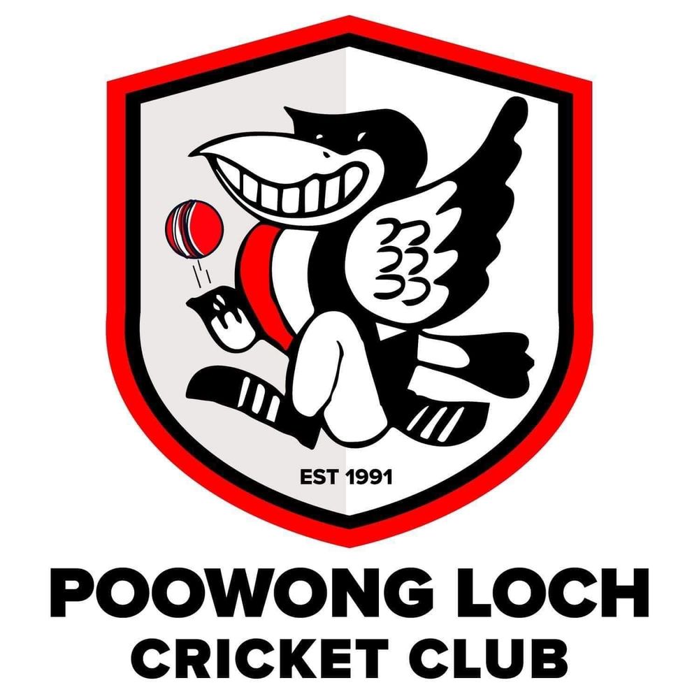 Cricket club in need of community support post image