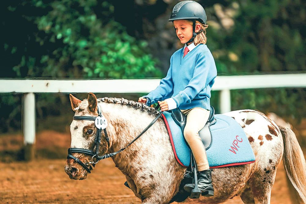 A week of competition at the Wonthaggi Pony Club post image