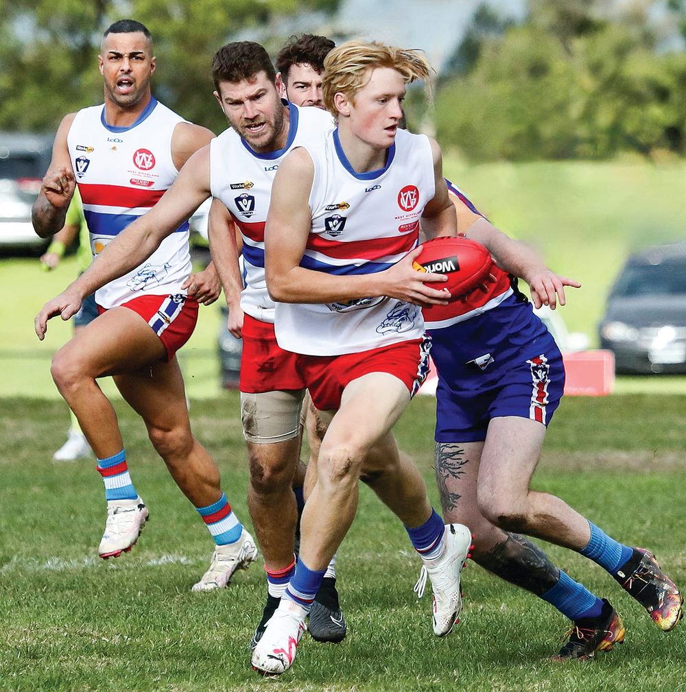 Bulldogs claim equal top spot post image