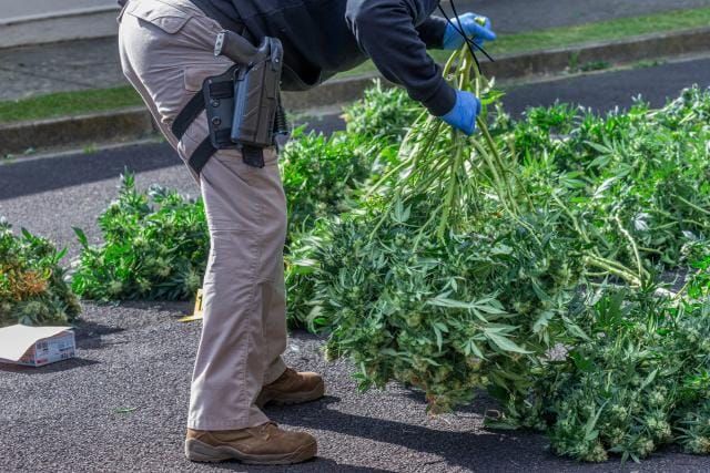 Tenby Point man among those arrested in $15M drug bust post image