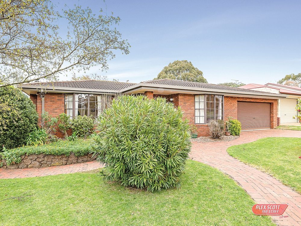 Look at my size and space in central Cowes post image