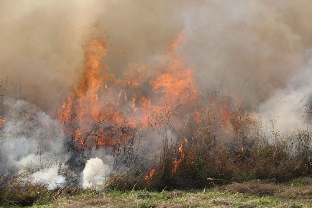 Ensure burn-offs are out ahead of windy weather post image