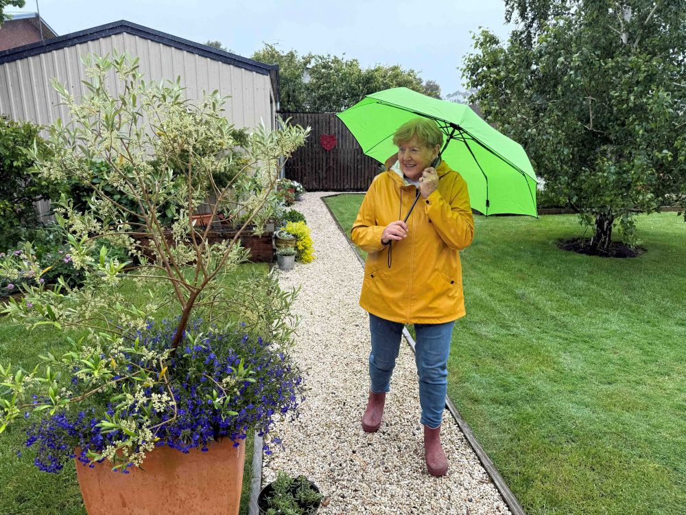 Great weather for gardens not so much visiting them! post image