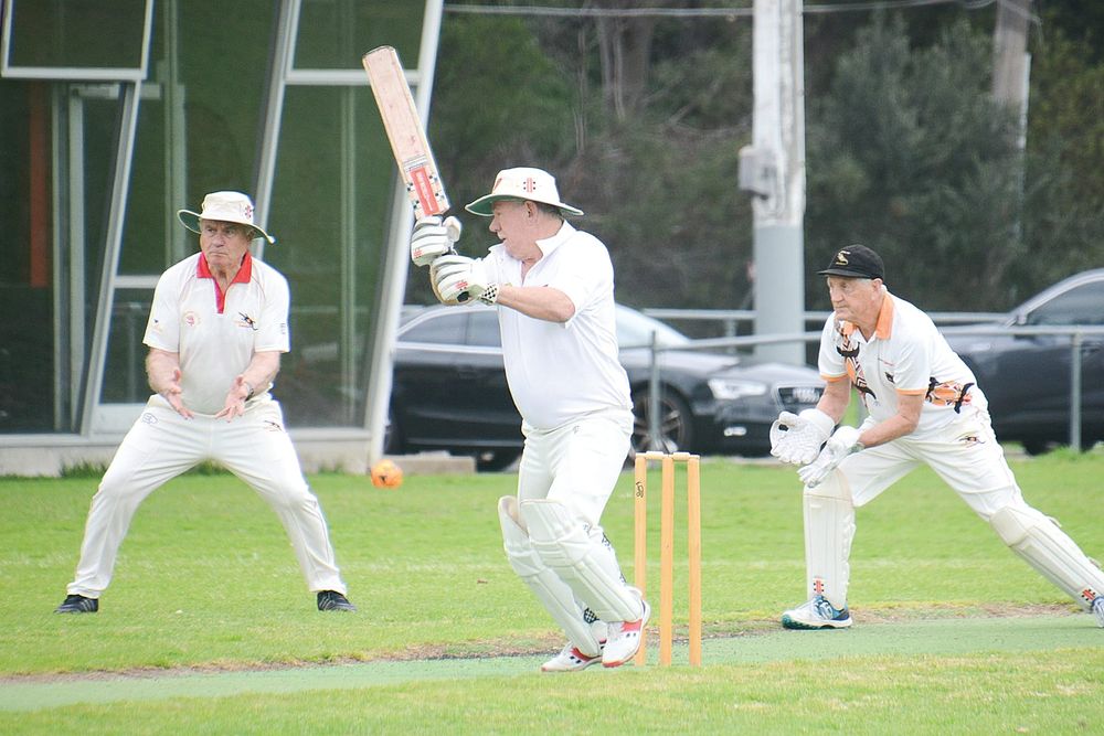 Goannas fall short against Essendon post image