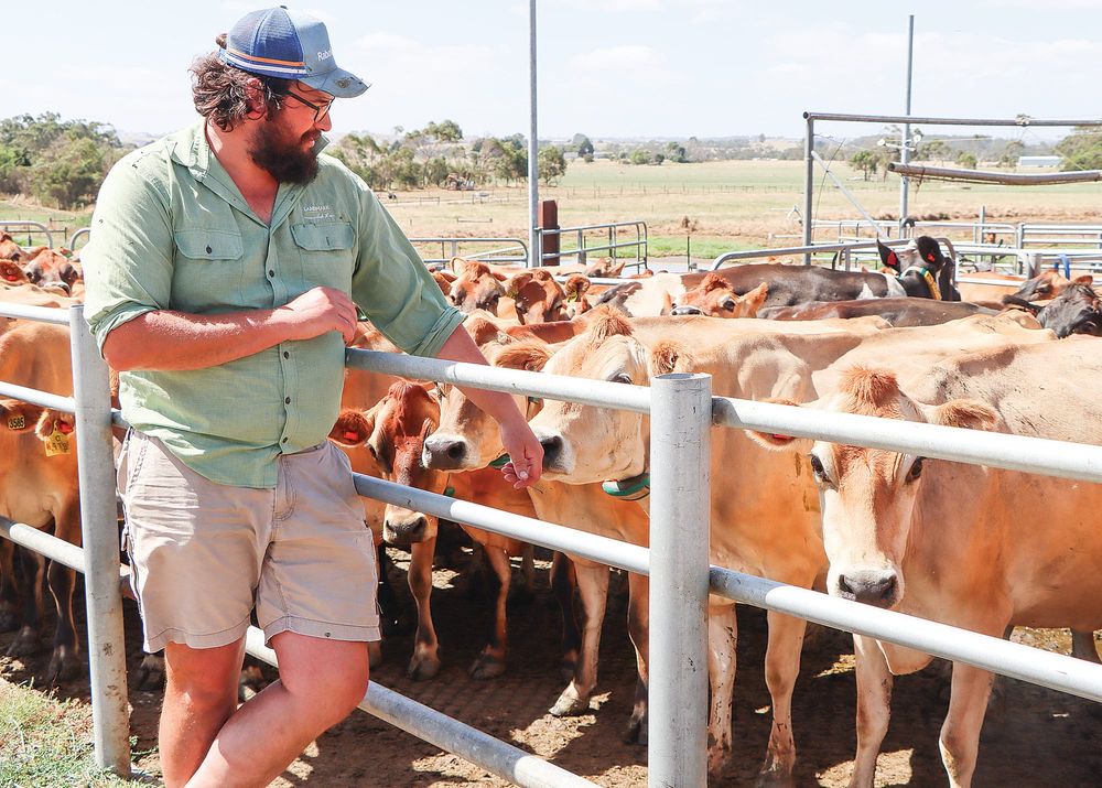 Virtual fencing and herding technology welcomed post image