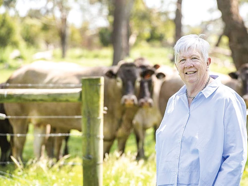 Rushed job – VFF calls on Bass Coast to defer rates review post image