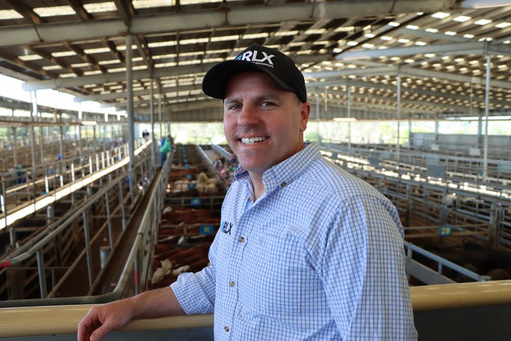 Regional Livestock Exchanges CEO outlines transition of Leongatha Saleyards post image
