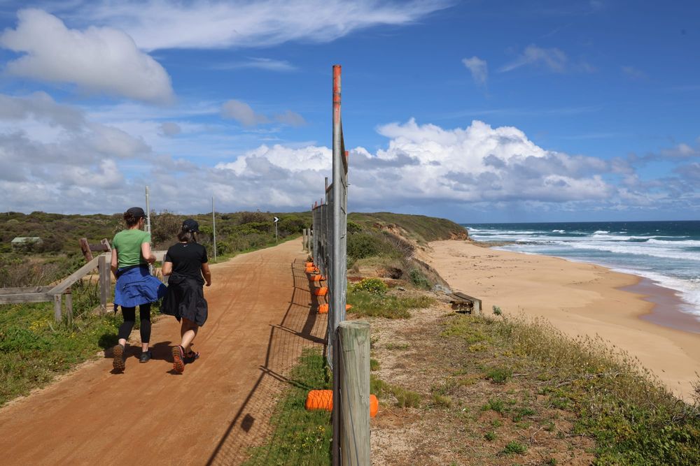 Where to next for Bass Coast Rail Trail and other erosion hotspots post image