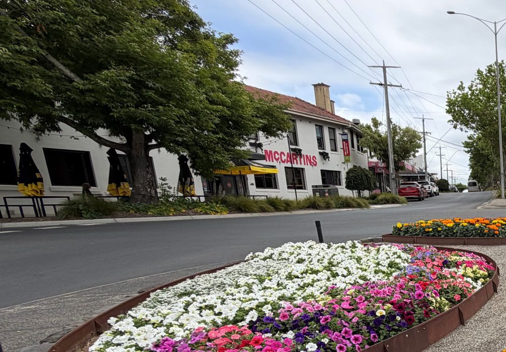 Christmas shock for shire’s outdoor dining venues post image