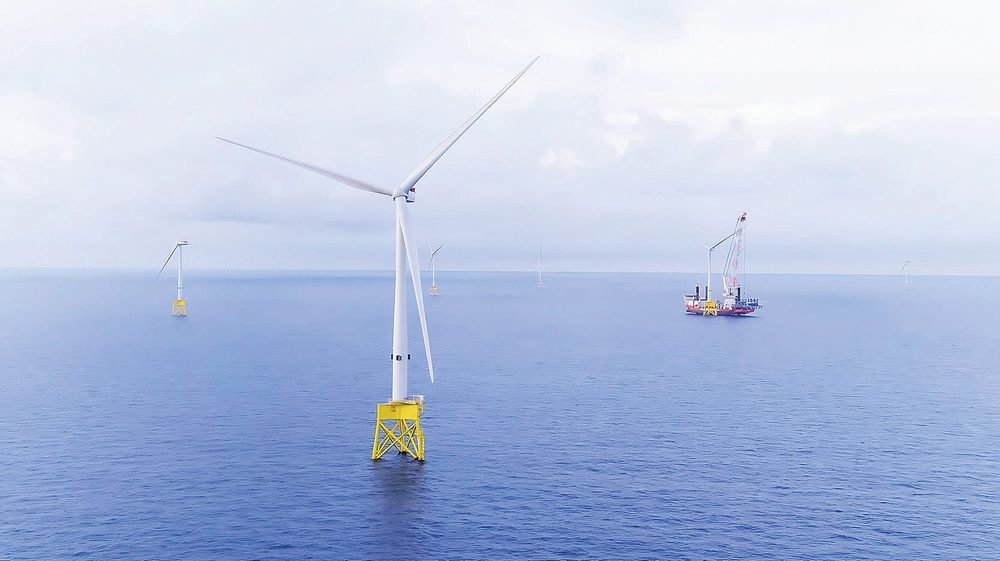 Milestone for Star of the South offshore wind energy project post image