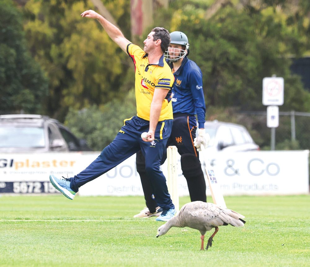 Around the grounds post image