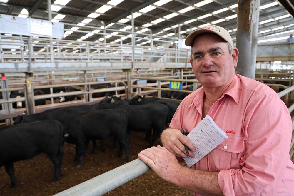 Strong result after bushfires force weaner sale to Leongatha post image