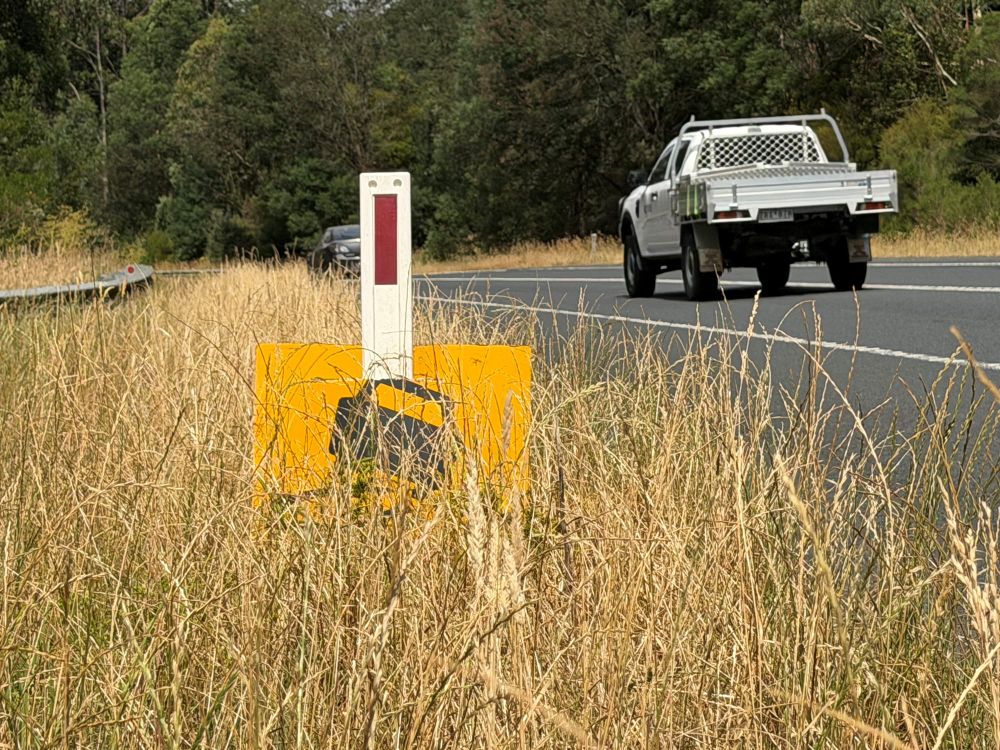 Unslashed highways spark fire fears post image