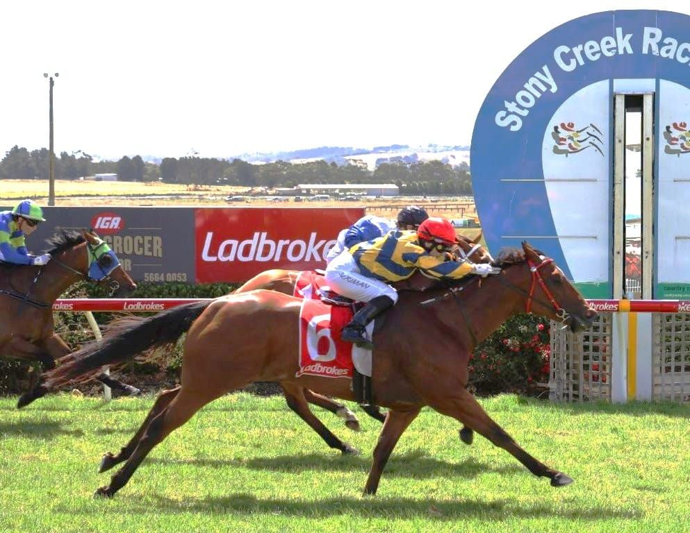 International flavour to ‘triple dead heat’ day at Stony Creek post image