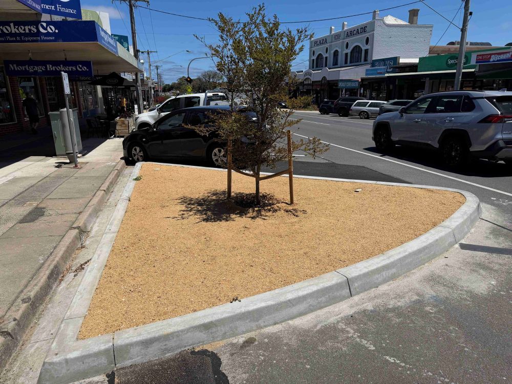 The problem with Wonthaggi’s new trees and it's not what you think post image