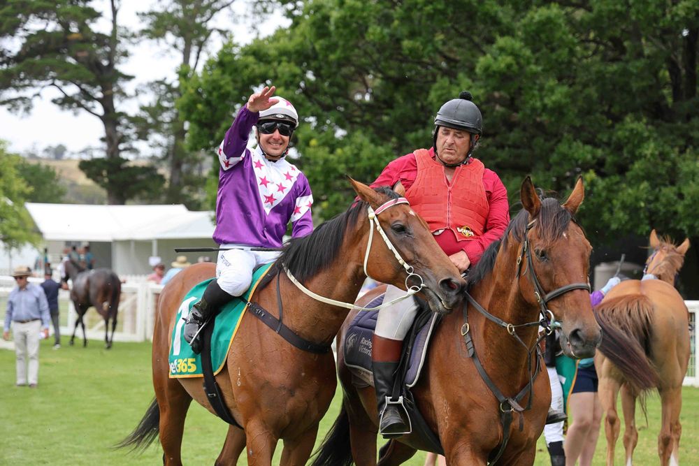 Mare carries record weight to victory at Woolamai post image