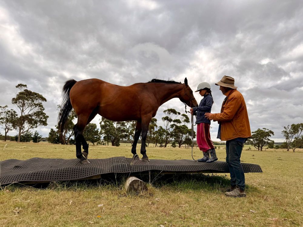 A natural method to horsemanship; ask less, receive more post image