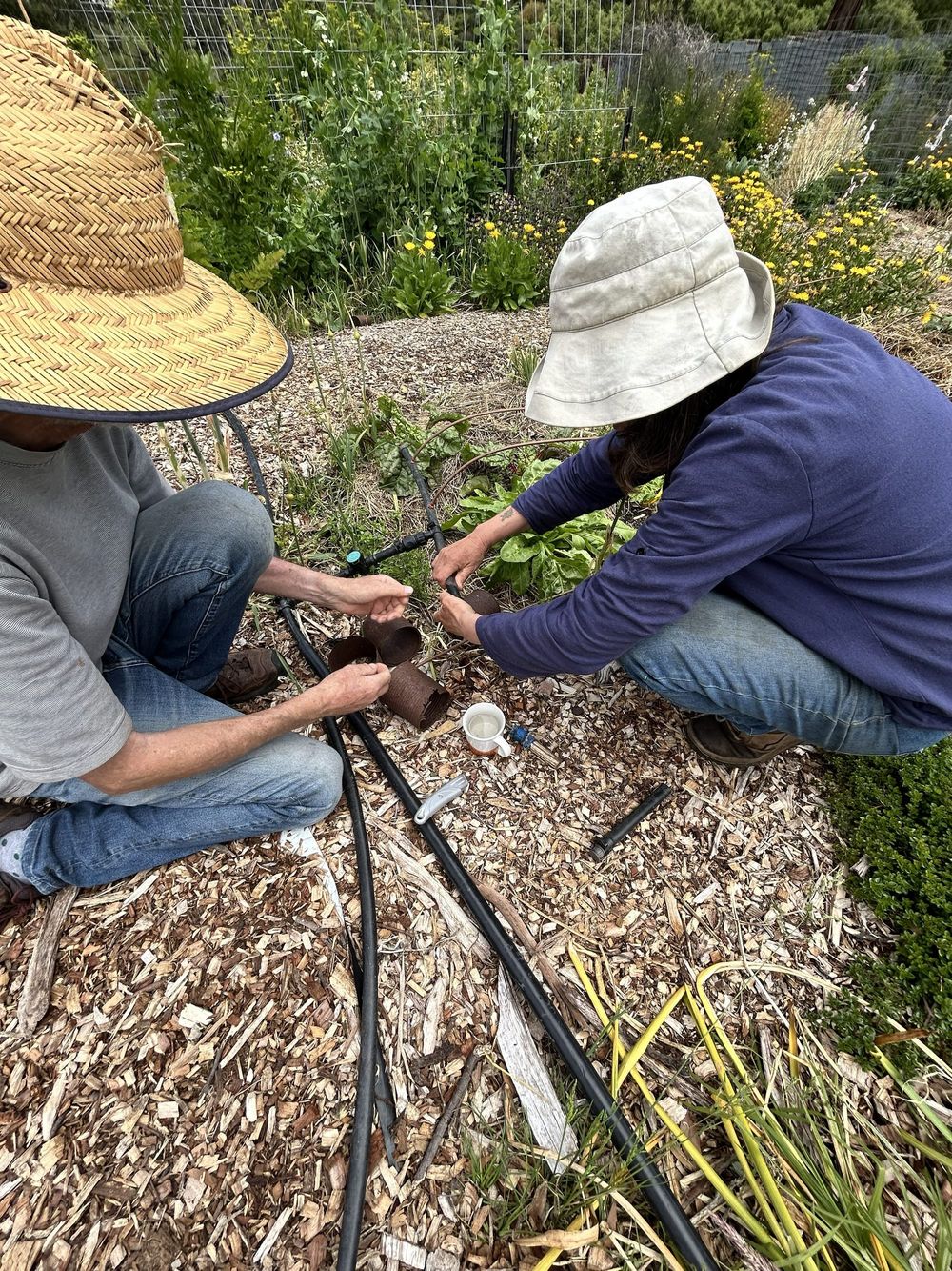 Fish Creek Community Farm strengthens food resilience post image