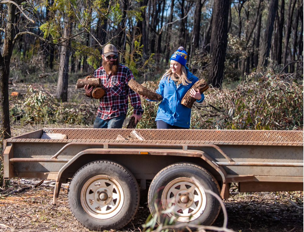 Firewood collection areas now open in South Gippsland post image
