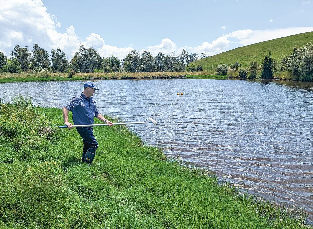 Free farm walk to explore dam biodiversity at Fish Creek post image