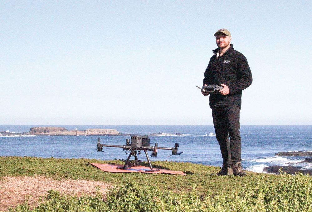 Thermal drones boost detection of entangled seals post image