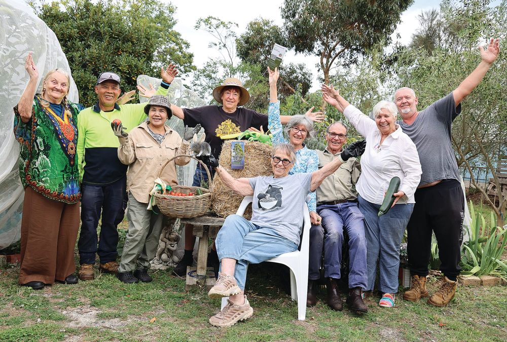 Living lightly in small spaces with simple no-dig gardening post image