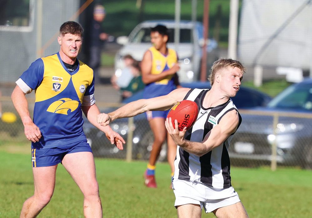 Magpies fall to in-form Ellinbank post image