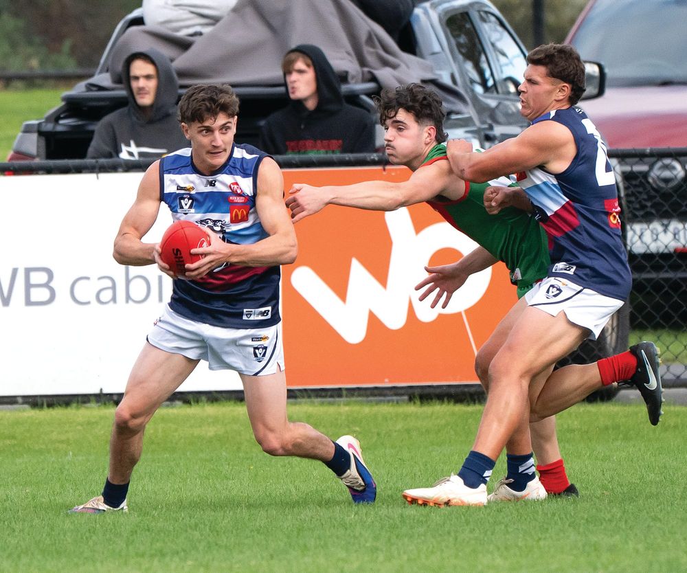 Panthers claw their way to victory post image