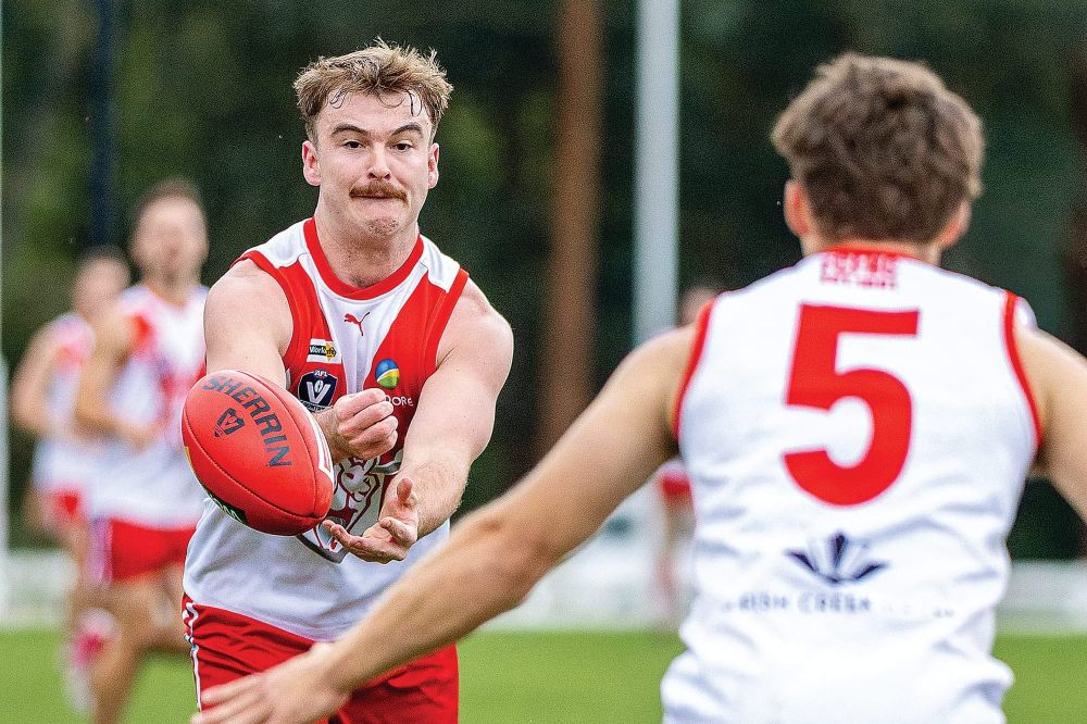 Fishy do a number on Stony in battle of the Creeks post image