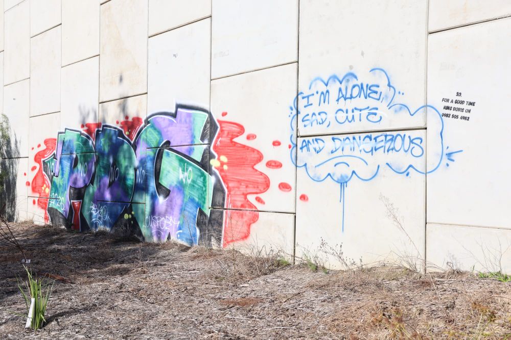 Ugly mark casts shadow over $140,000 upgrade post image
