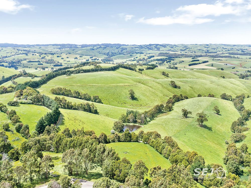 Affordable entry into blue gum grazing country at Dumbalk post image