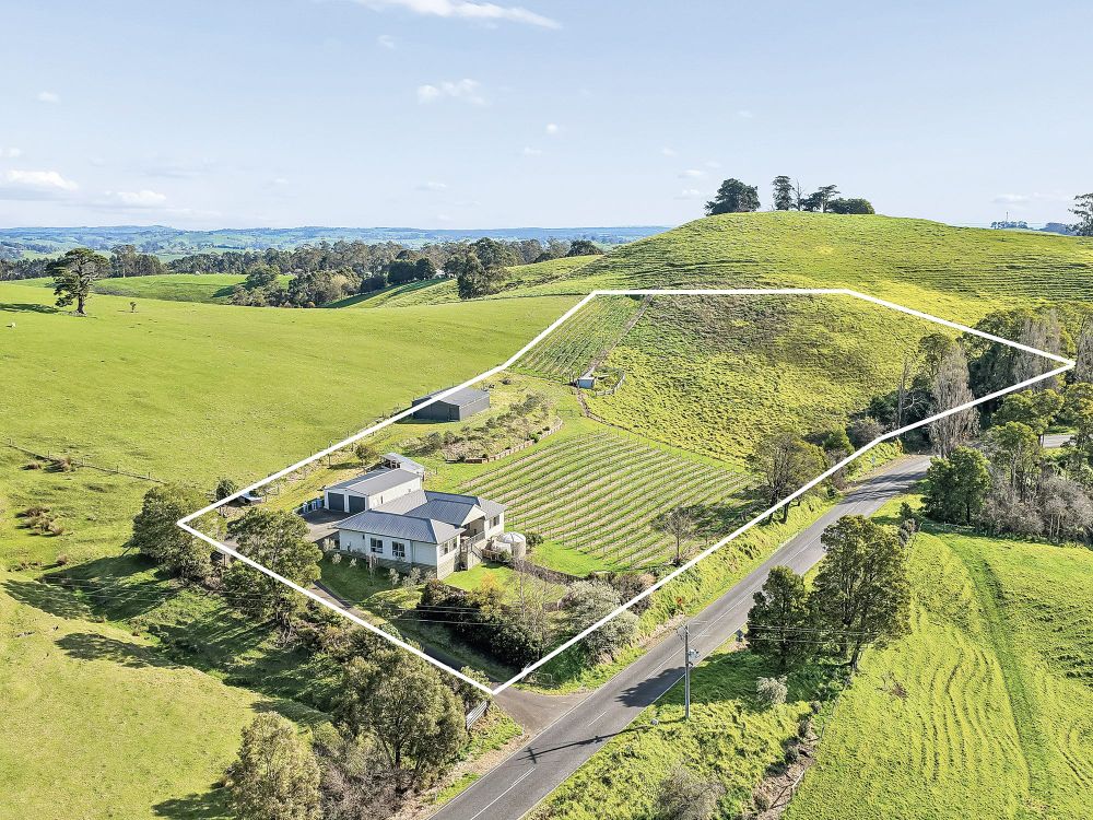 Four bedrooms and an acre of pinot noir vines post image