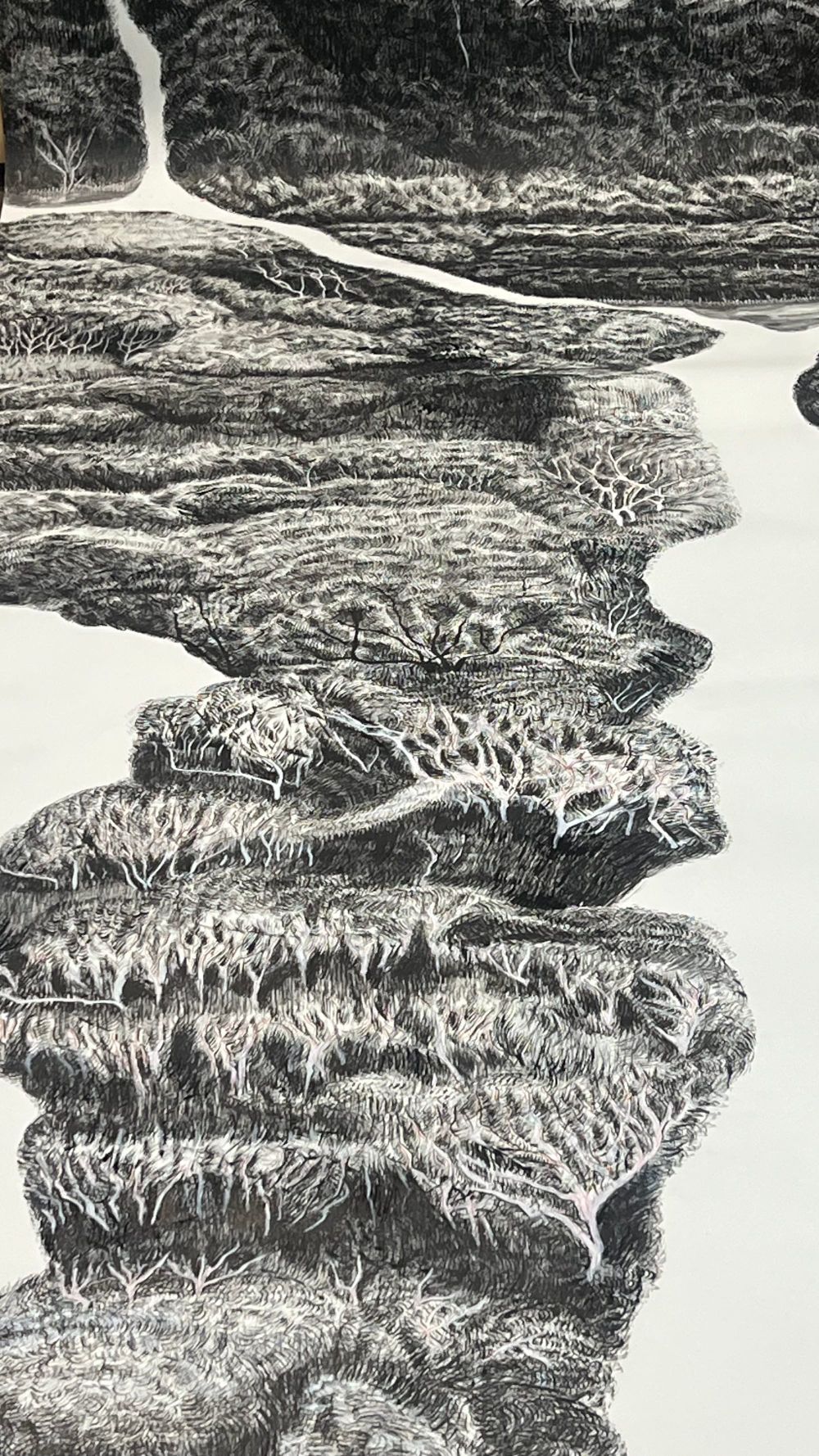 Eight-metre forest drawings open at Berninneit next month post image