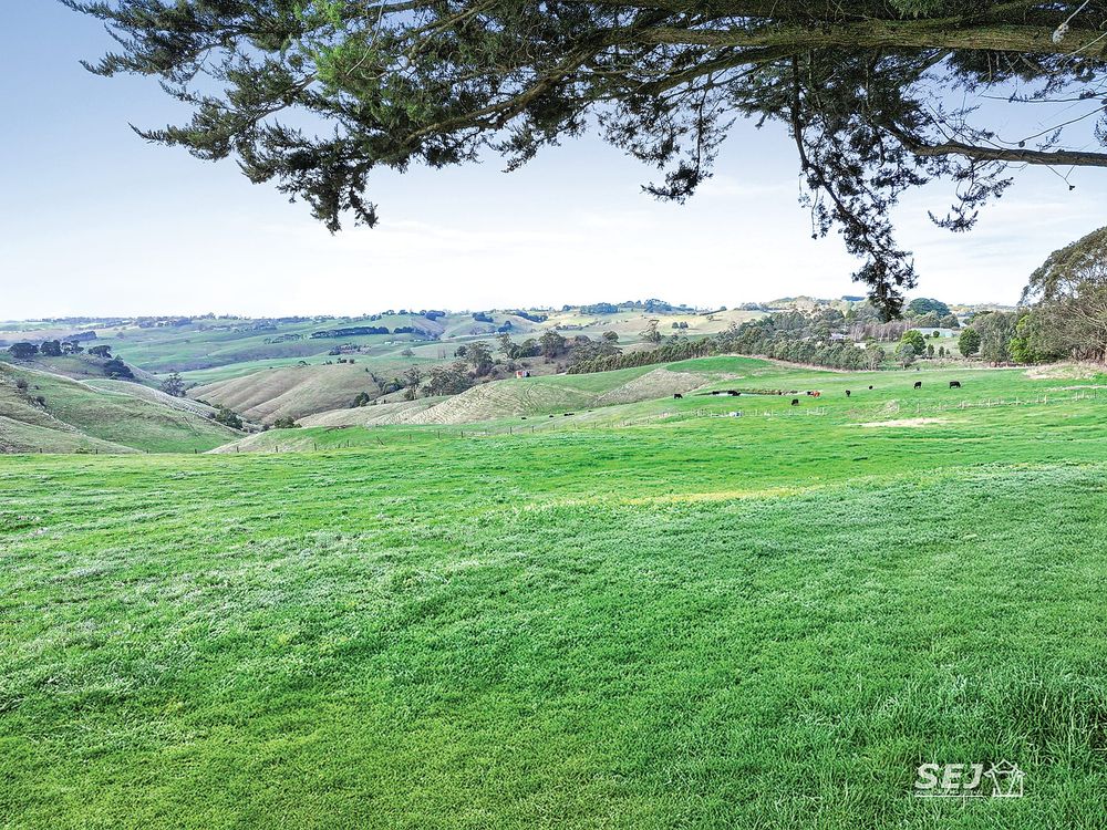 Grazing country close to town and closer to the sale yards post image