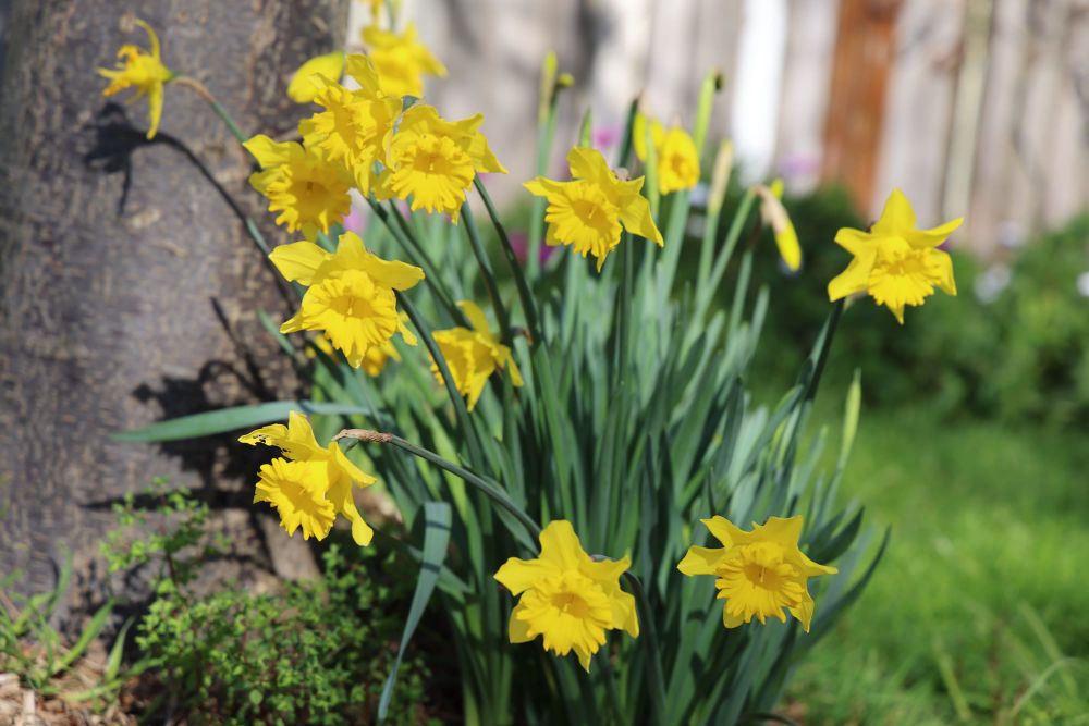 Inverloch Uniting Church prepares for vibrant return of spring fete post image