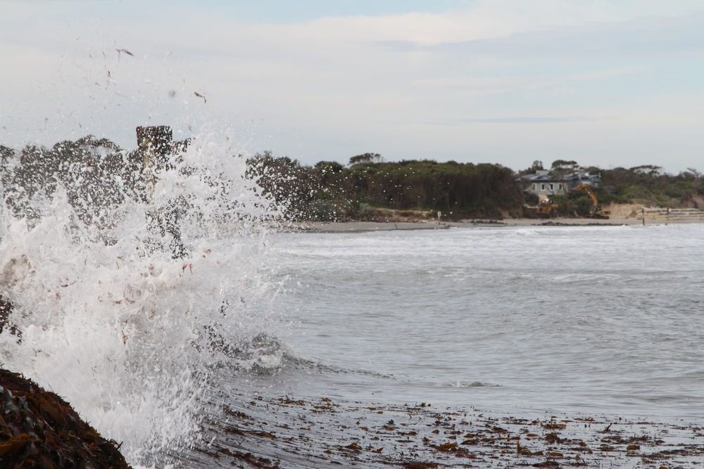 Greens put Bass Coast coastal communities on notice over rising sea levels post image