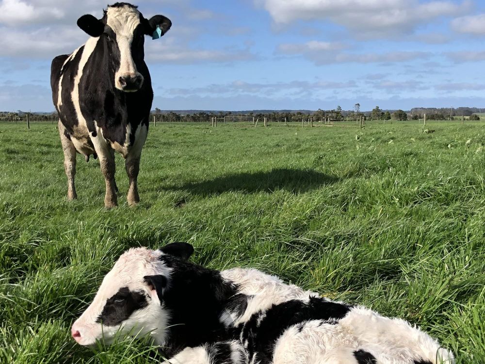 New biosecurity requirement for local livestock producers post image