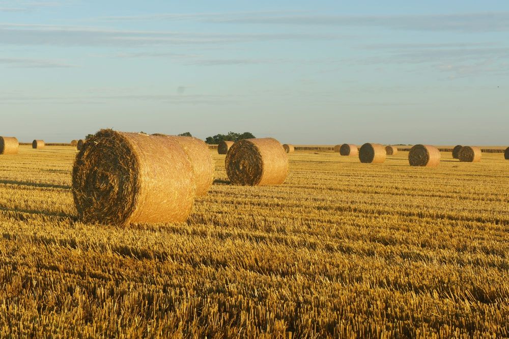 Gippsland offered $1.55m to prepare for drought post image