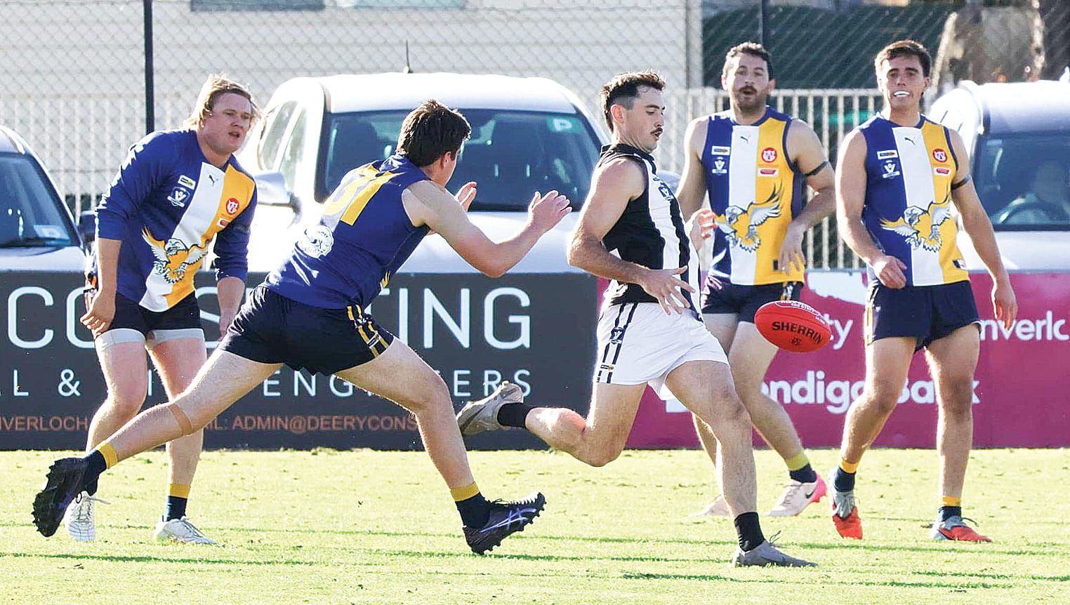 Magpies fight back against dominant Sea Eagles post image