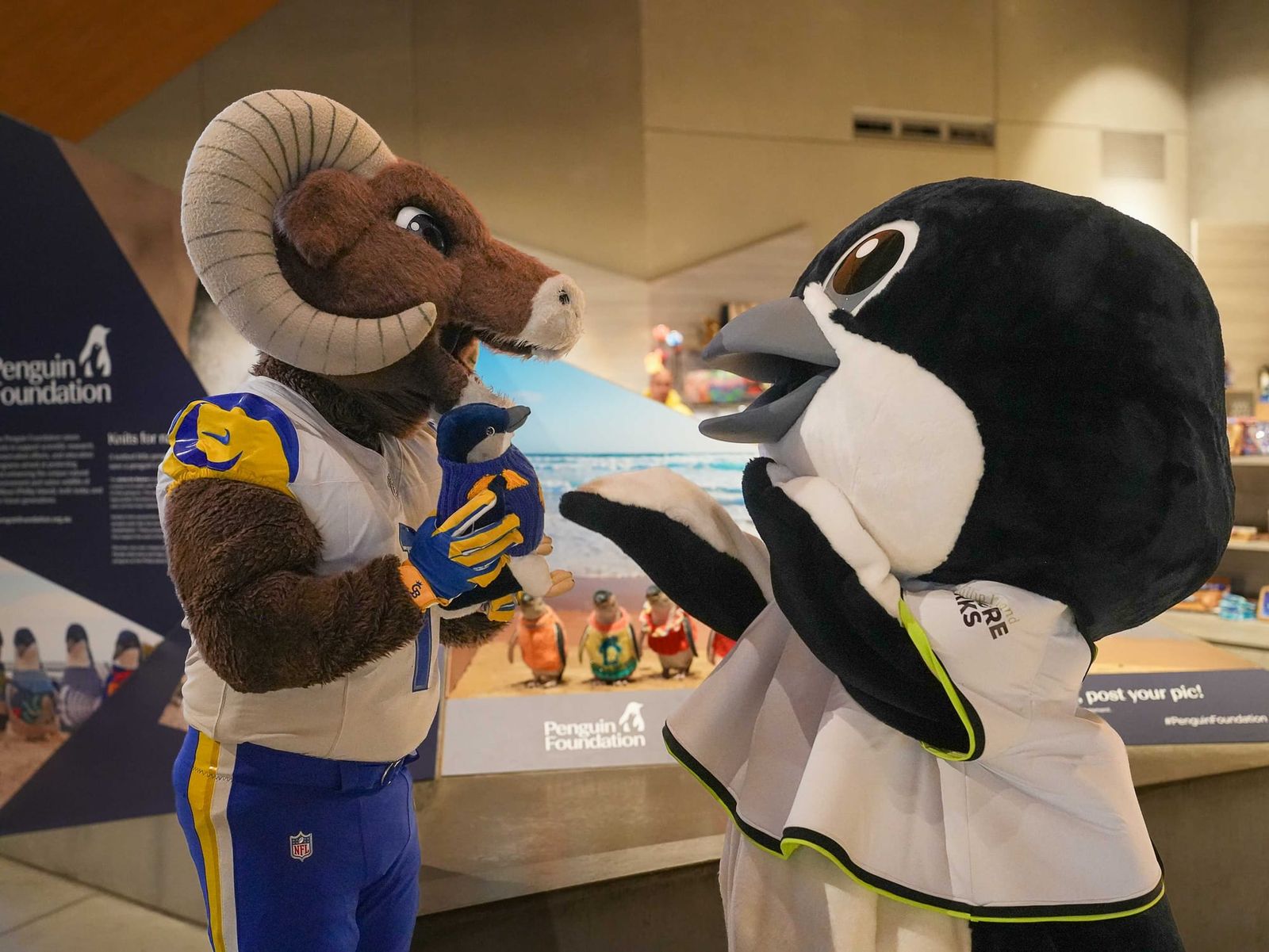 LA Rams’ mascot meets his match at Phillip Island post image