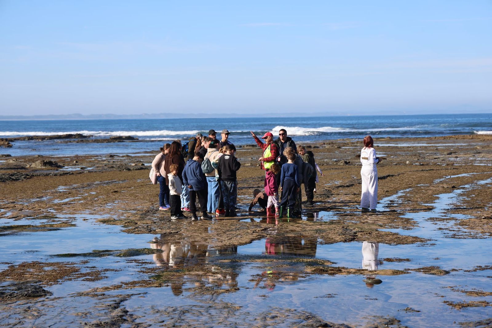 Ancient footprints and polar giants live again on the Bass Coast post image