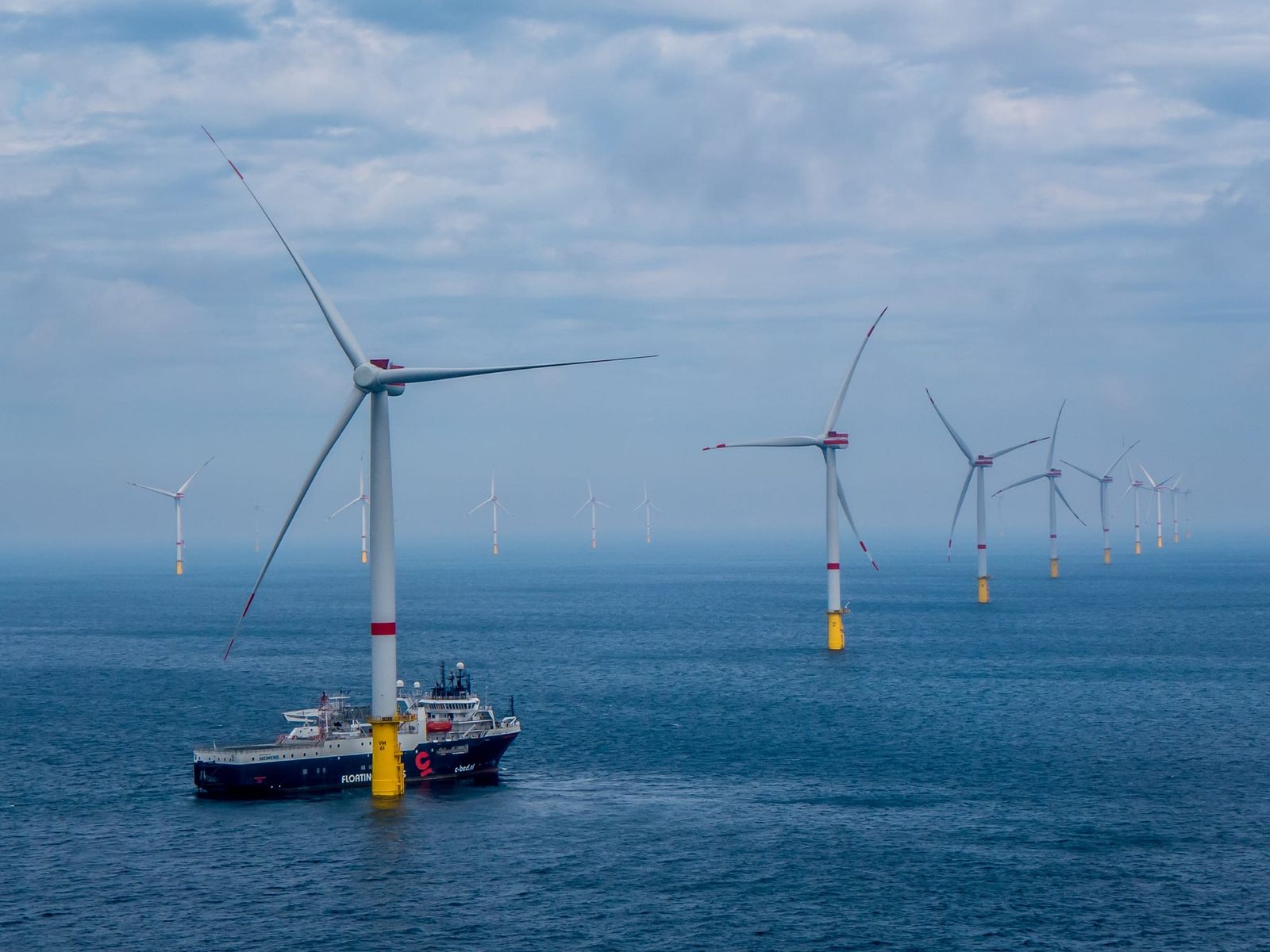 Star of the South enters critical assessment phase post image