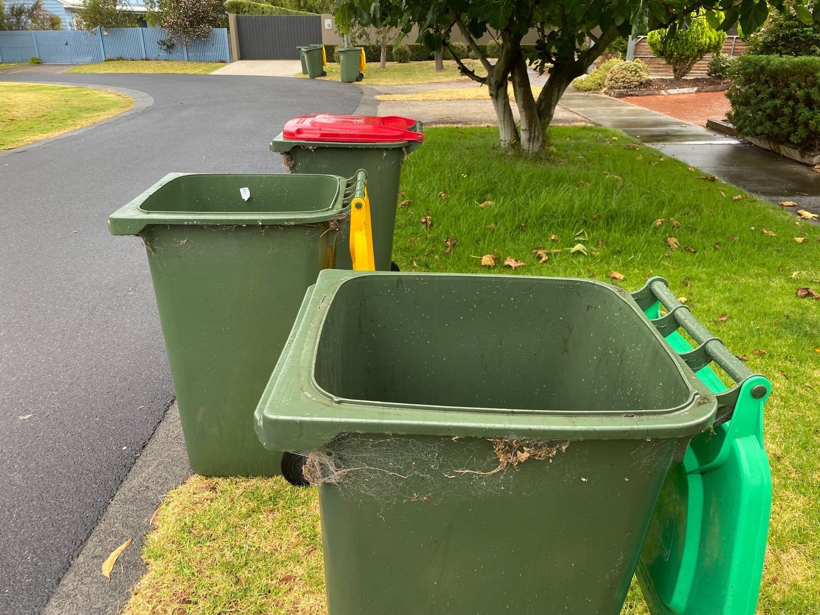 Hundreds join the campaign for weekly red bin collection post image