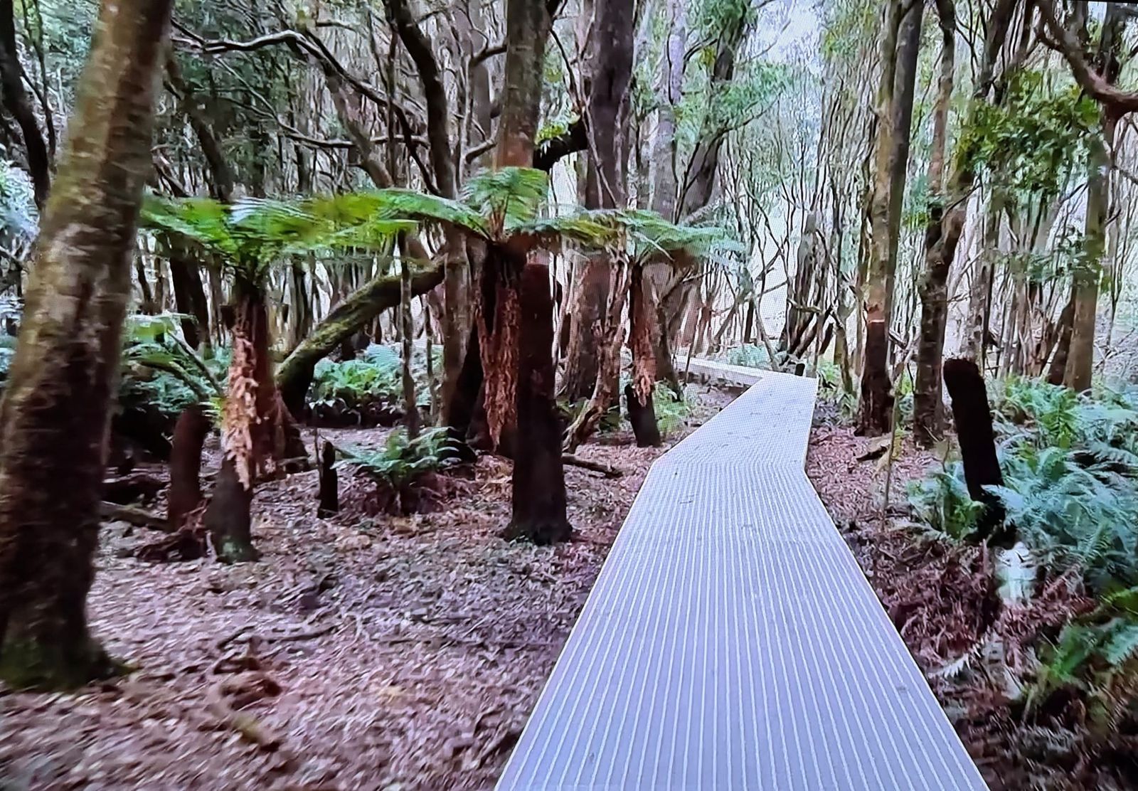 Important Wilsons Prom walk reopened for the holidays post image
