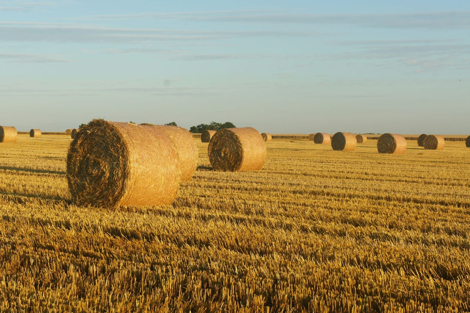 Gippsland offered $1.55m to prepare for drought post image