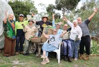 Living lightly in small spaces with simple no-dig gardening post image