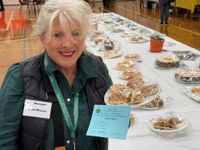 Gippsland Hills CWA attracts 681 entries for 71st exhibition post image