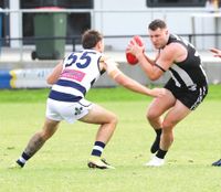 Magpies no match for polished Goon post image
