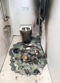 Town trashed: How can this senseless damage be allowed to continue? post image